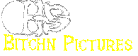 Bitchn Stitchn Photos